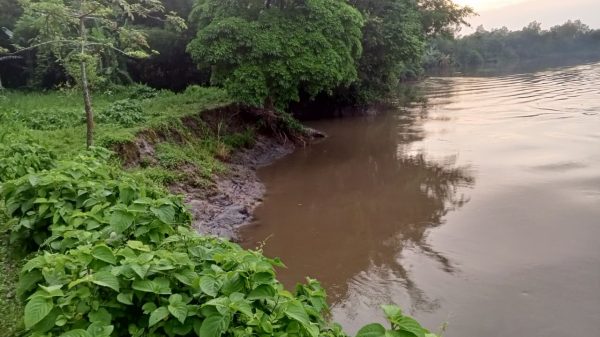 নদীভাঙ্গন