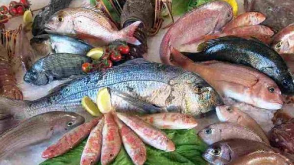 মাছ খেলে কি উপকার ?